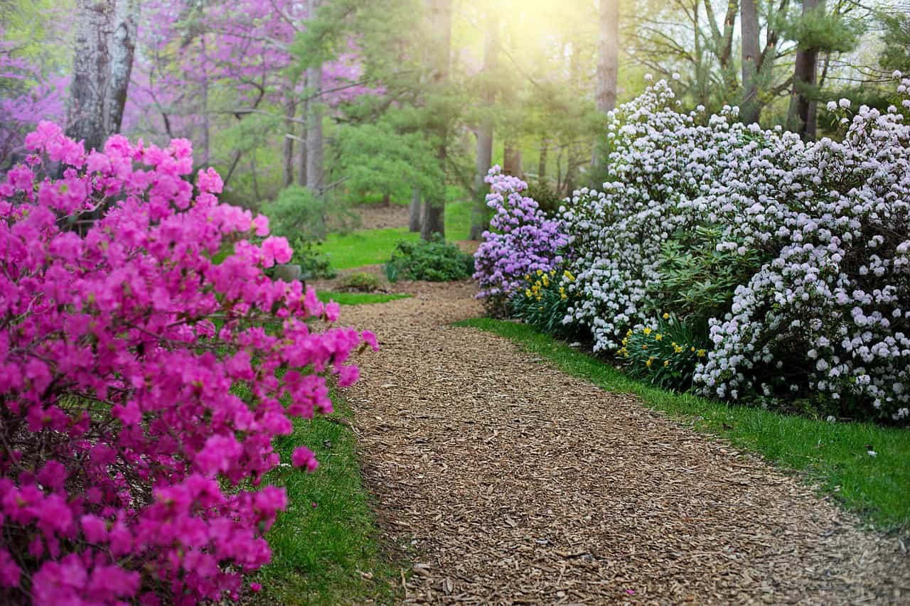 Chemin de fleurs