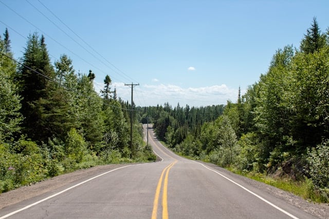 Route, entourée d'arbres