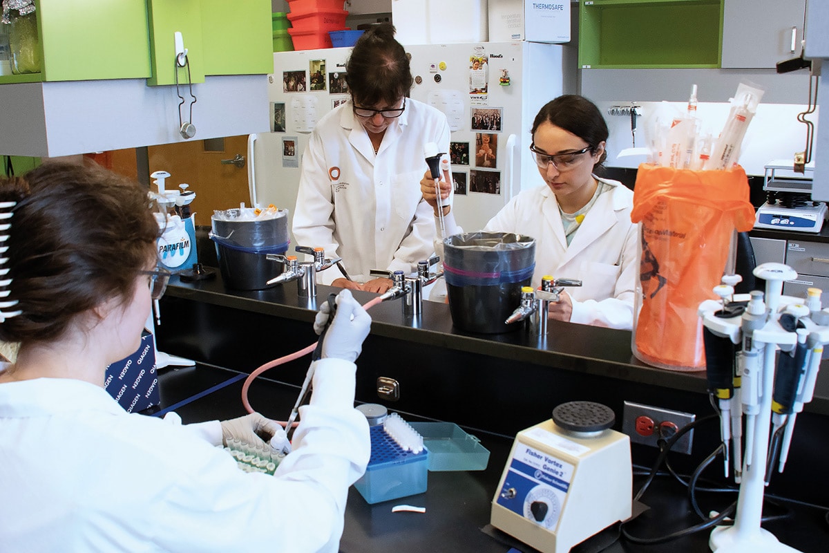Photo de trois femmes en sarrau dans un laboratoire. La première est dos à la caméra, cheveux attachés, et manipule une pipette. En face d'elle, les deux autres sont concentrées sur leur travail.