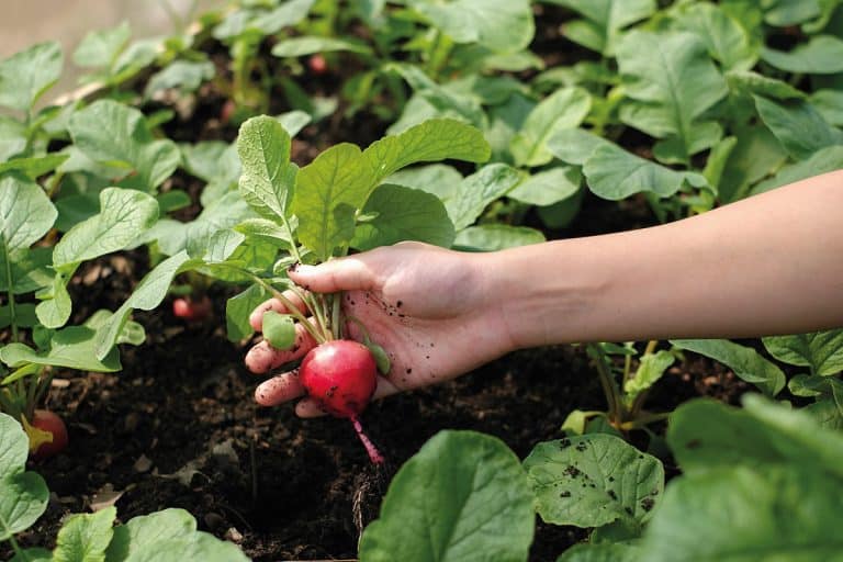 agroenvironnementales